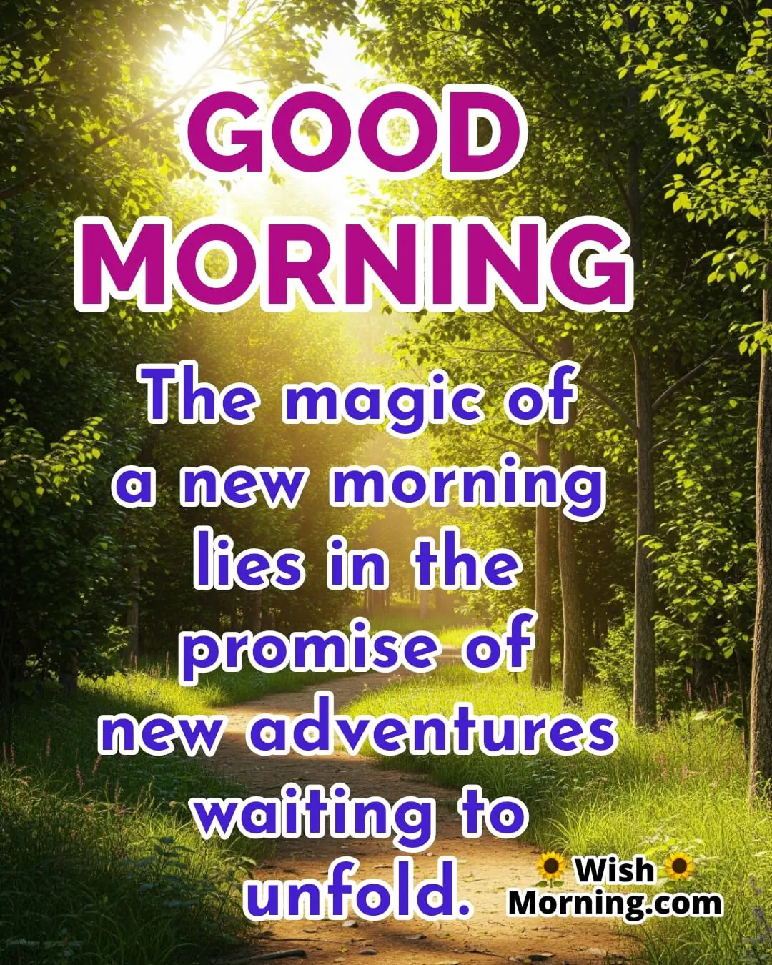 Good Morning image featuring sunlit forest trail, symbolizing morning promise and new adventures.