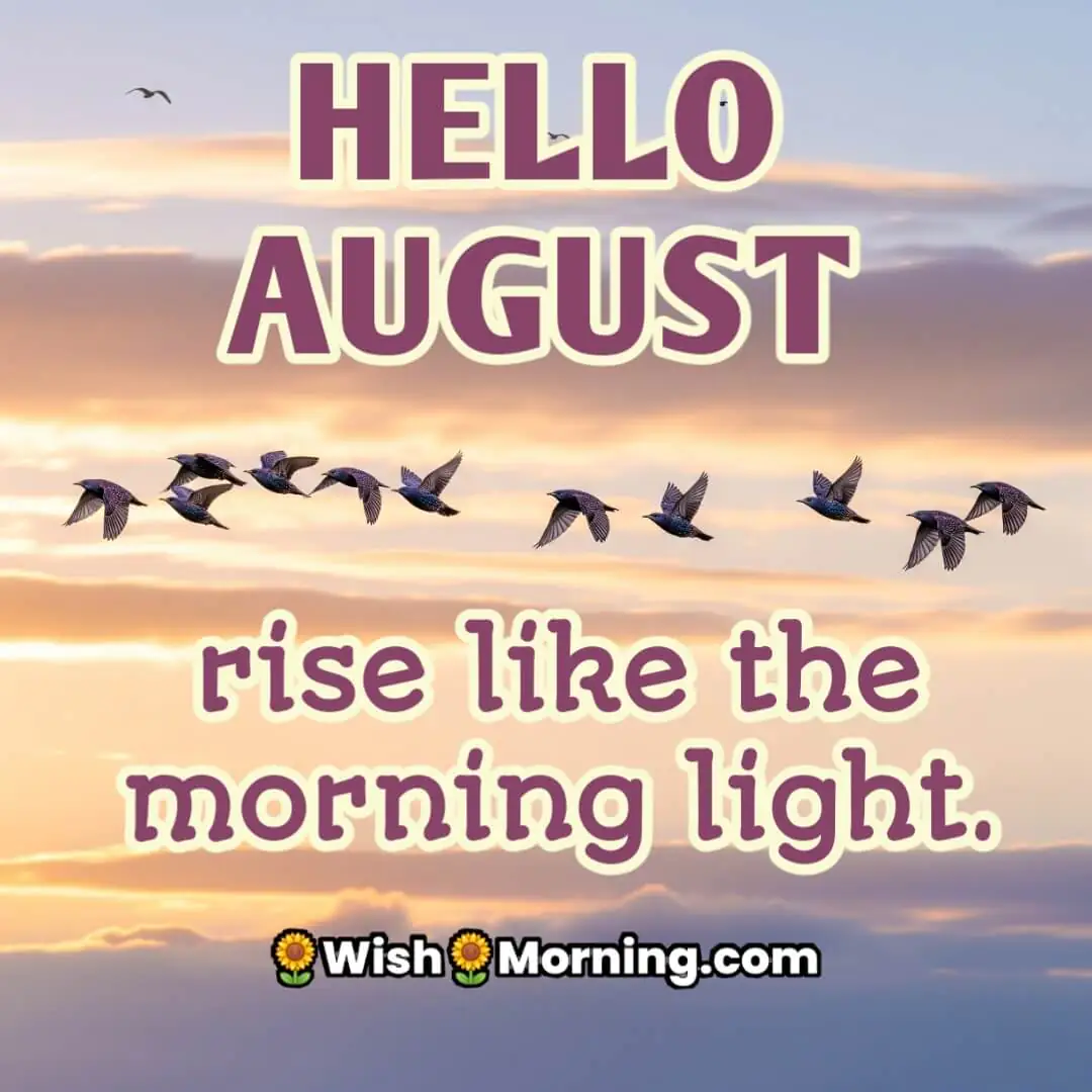 Hello August Morning Sky Birds Pic