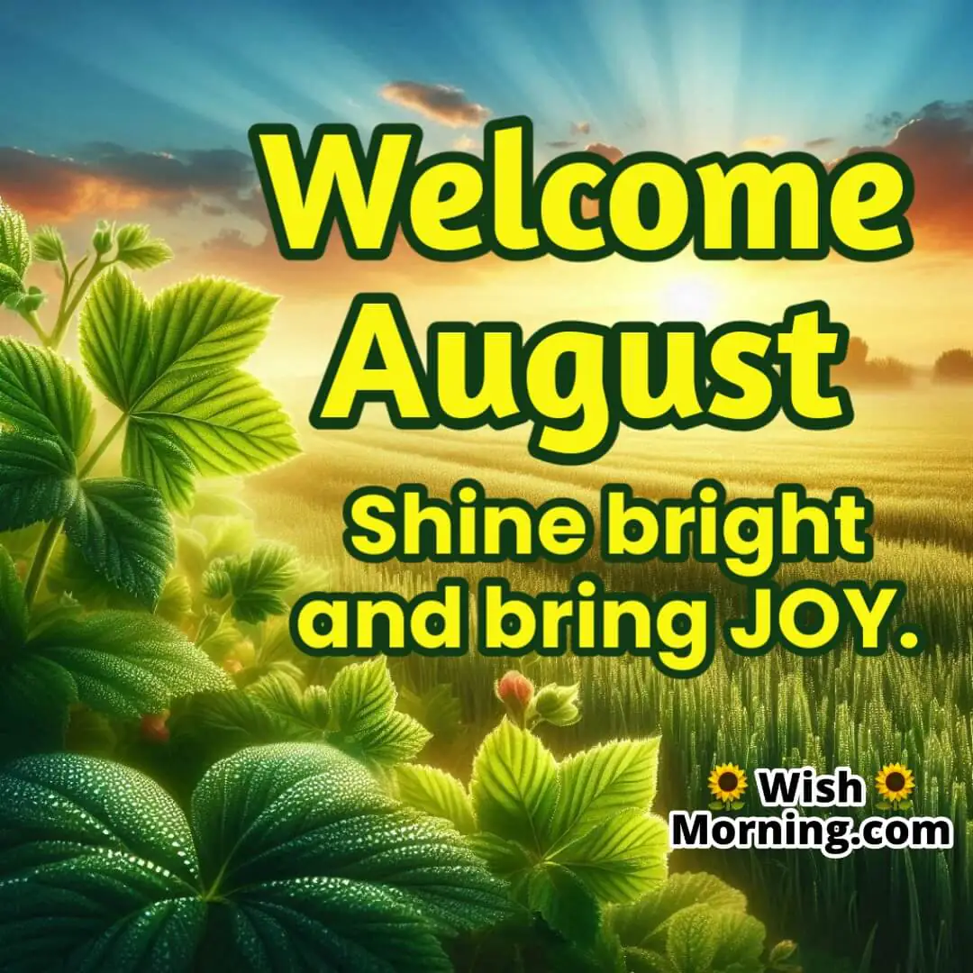 Welcome August Sunrise Field Wish Pic