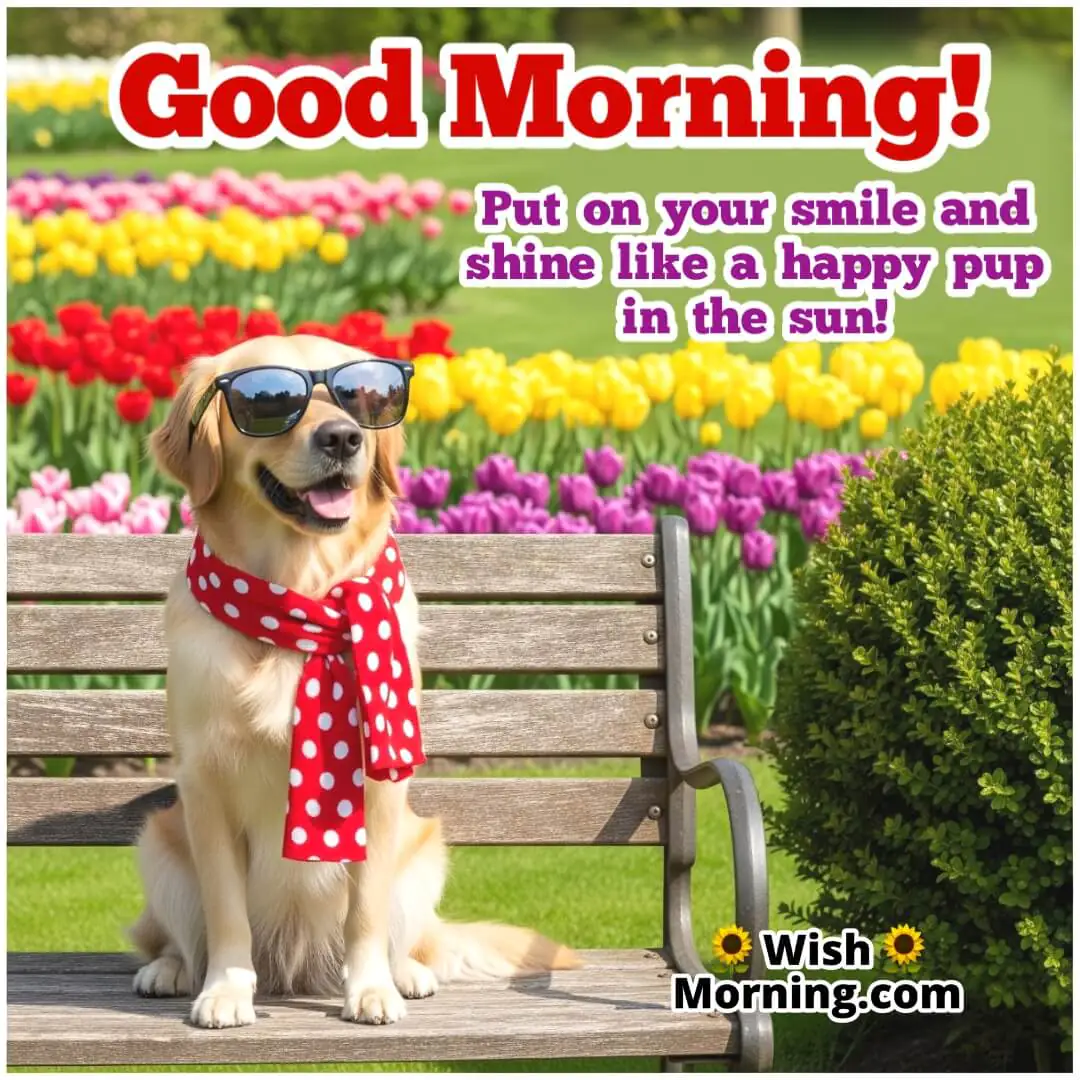 Good Morning Dog Image featuring a stylish dog with sunglasses in a cheerful park setting, symbolizing brightness and joy.
