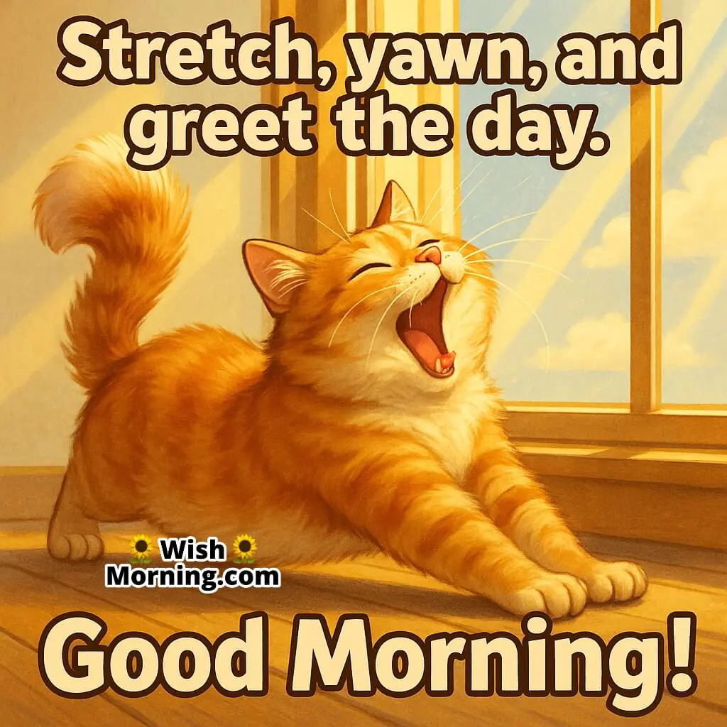 Good Morning image featuring an orange cat stretching by a sunny window, symbolizing freshness and joyful energy