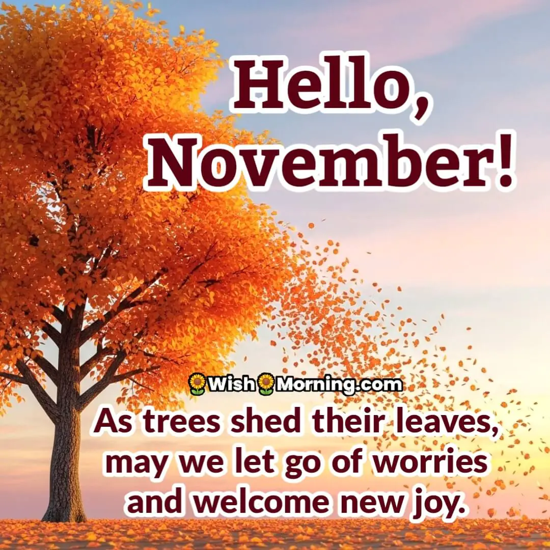 Hello November image featuring falling leaves and calm sky, symbolizing release, inner peace, and fresh joy.