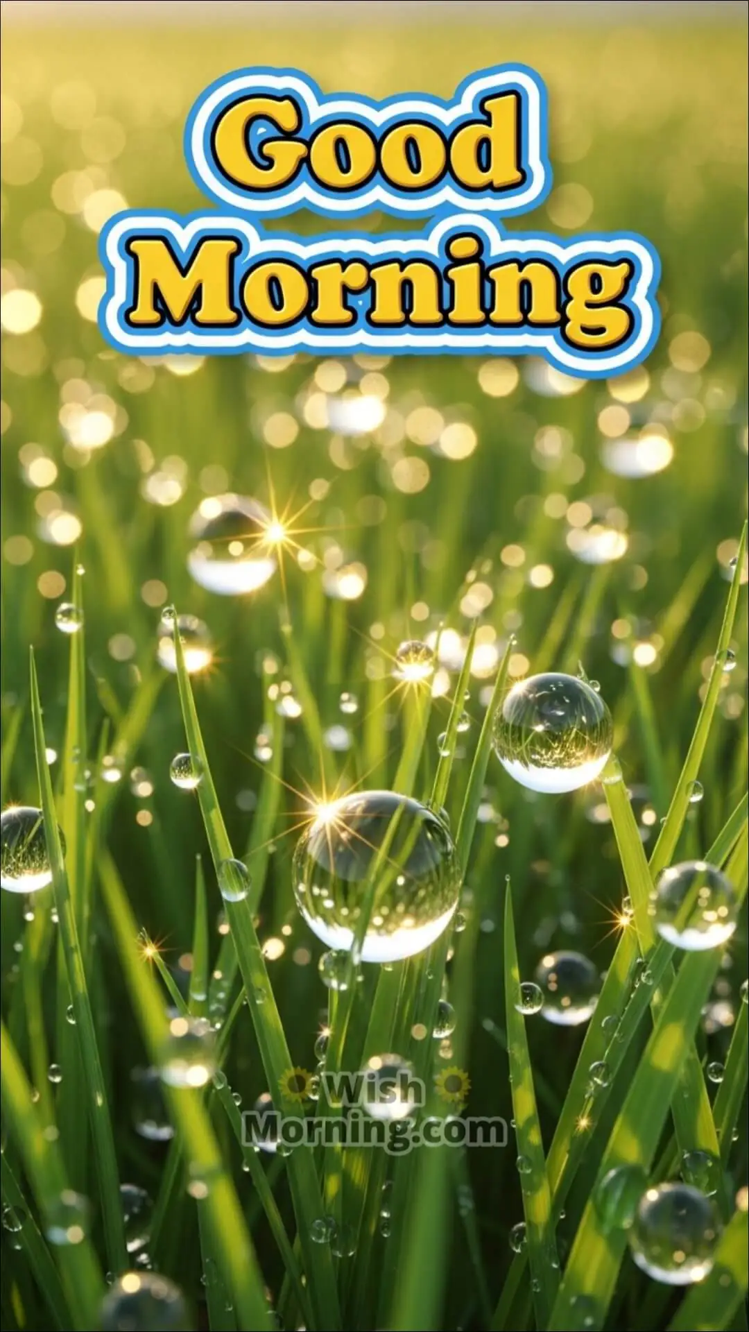 Good Morning mobile-friendly wallpaper featuring colourful 3D dew drops on fresh green grass in soft light.