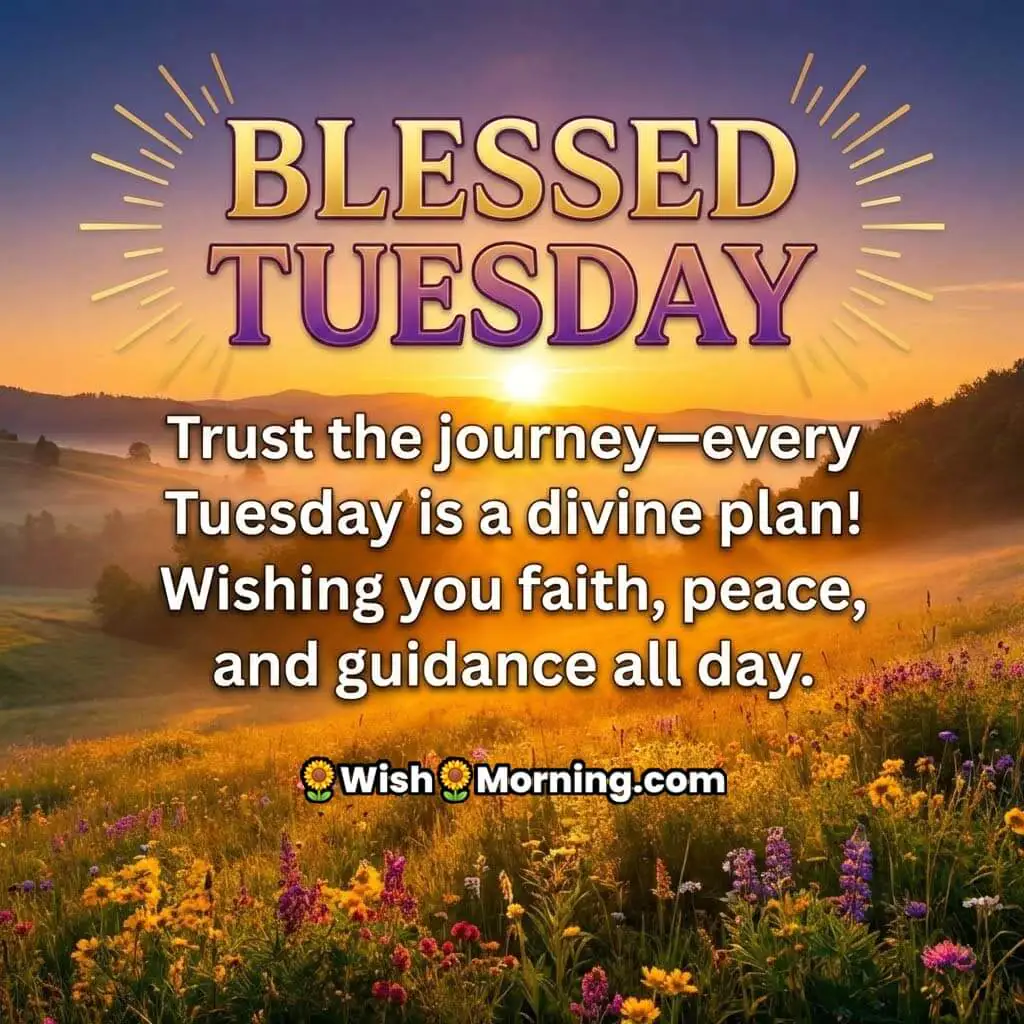 Blessed Tuesday message image showing a golden sunrise over a peaceful flower-filled meadow, symbolising faith, calmness, and divine guidance.