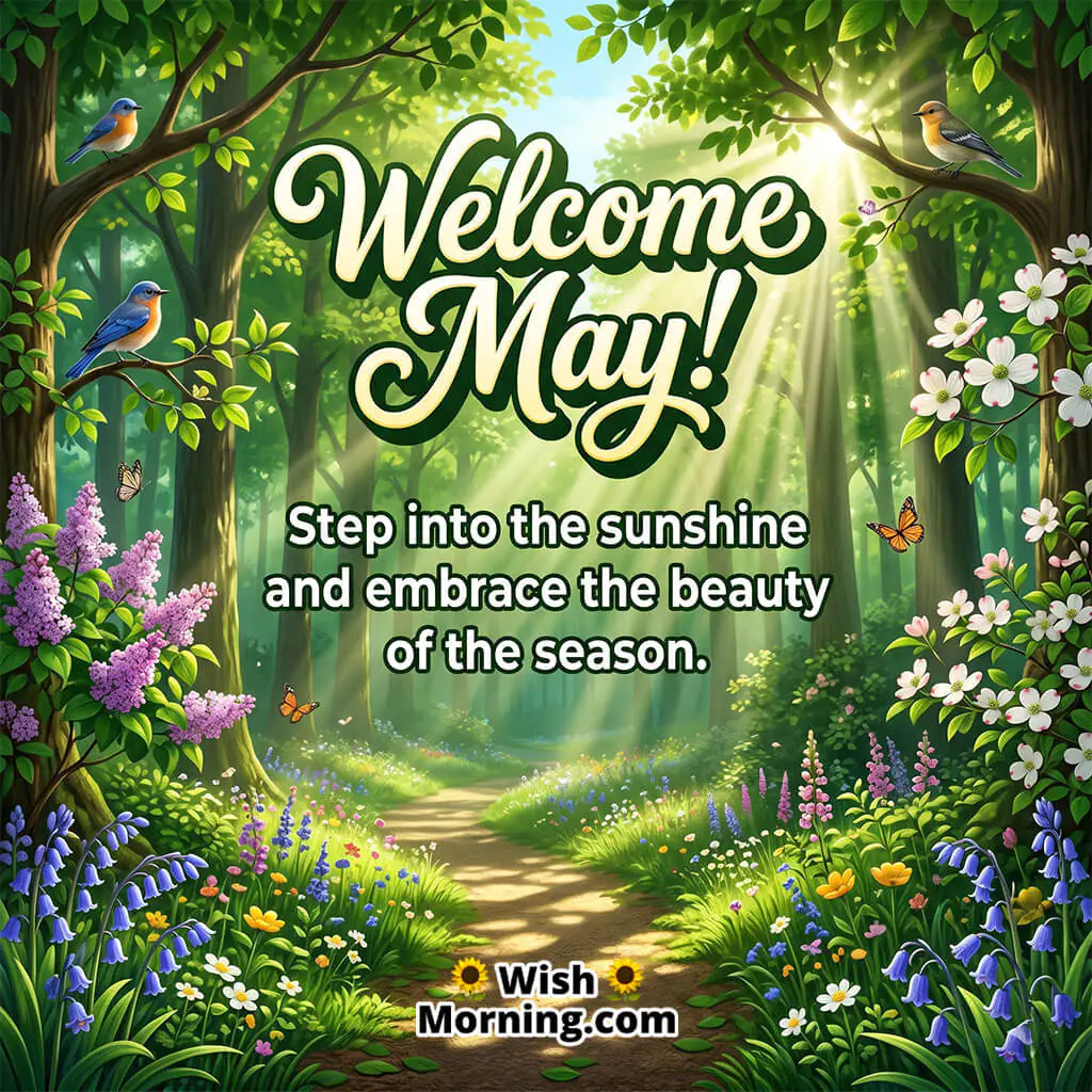 Welcome May featuring sunlight through green trees, symbolizing serenity, warmth, and the gentle promise of a new season.