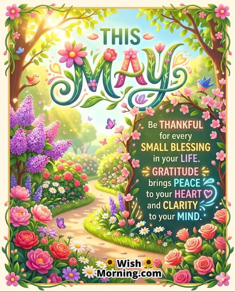 May Gratitude and Peace Message Image featuring soft sunlight, flowers, and calm environment symbolizing thankfulness, mental clarity, and inner peace.
