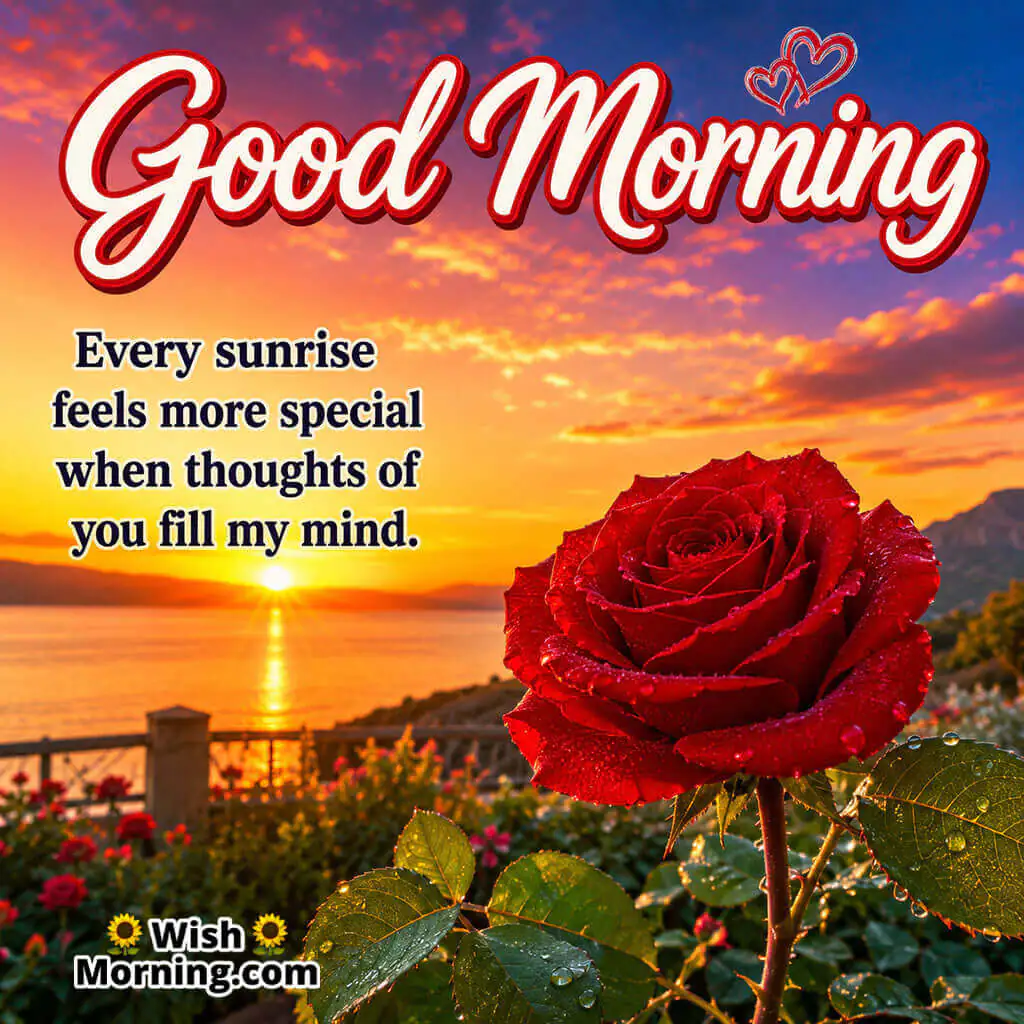 Good Morning Romantic Rose Sunrise Message