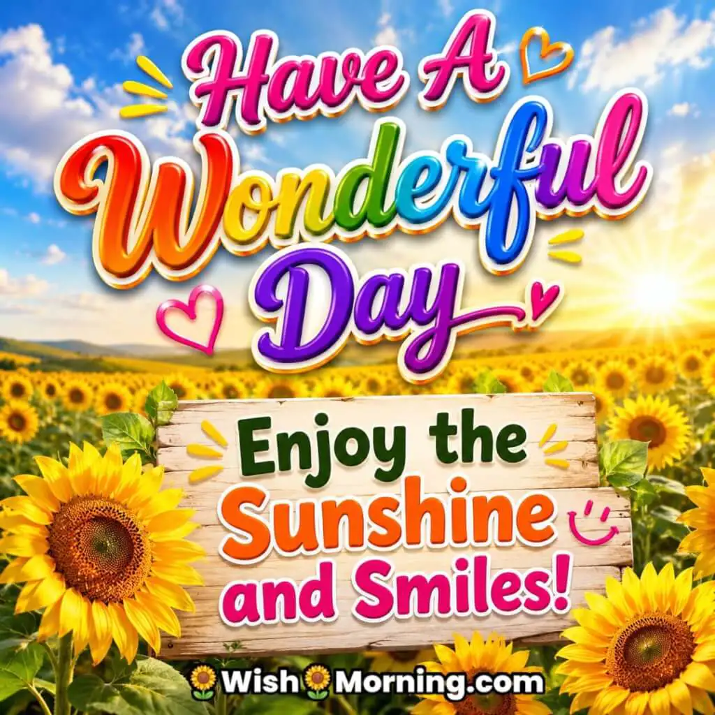 Sunflower field with golden sunlight for Have a Wonderful Day messages.