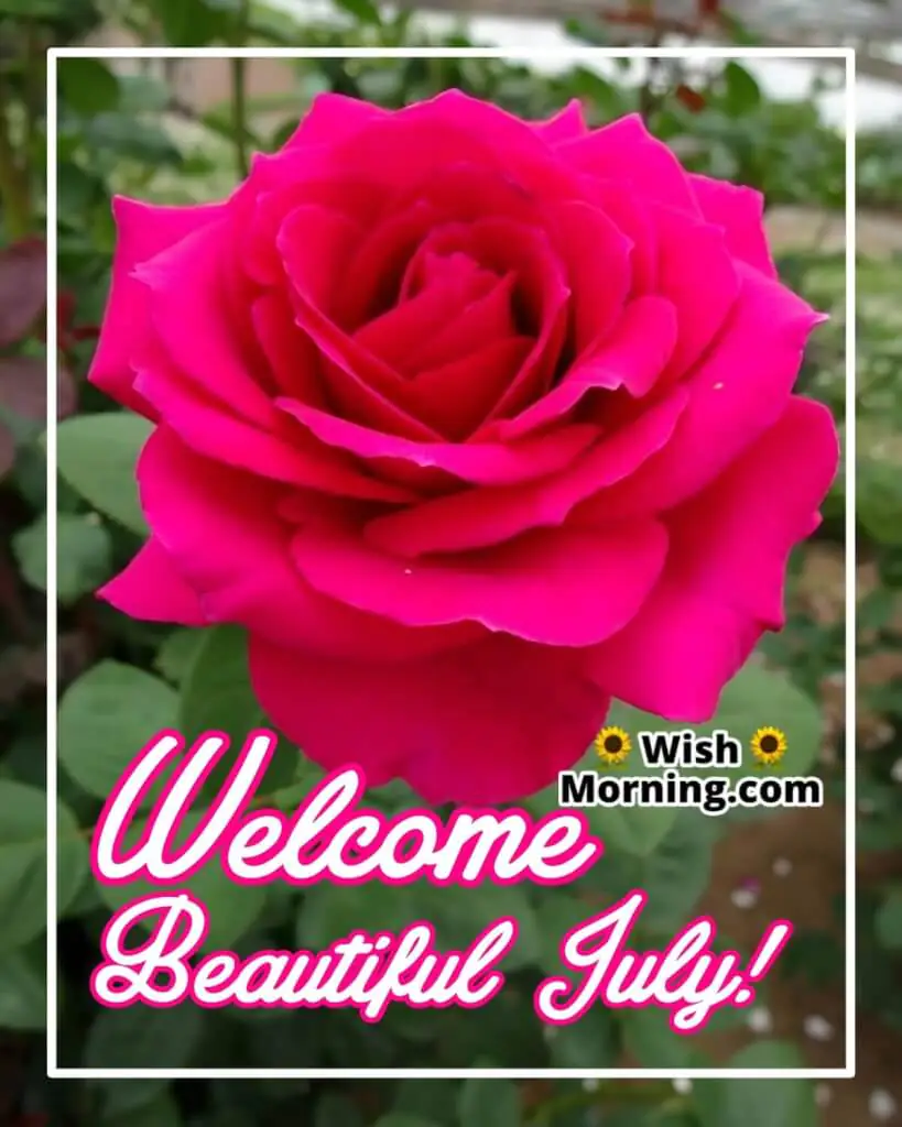 Welcome Beautiful July